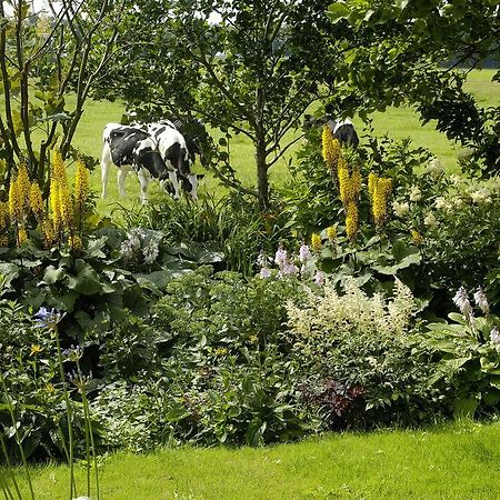 Bed and Breakfast De Zonnehoed Lisse Exterior foto