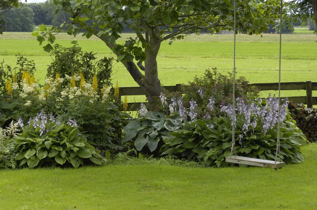 Bed and Breakfast De Zonnehoed Lisse Exterior foto