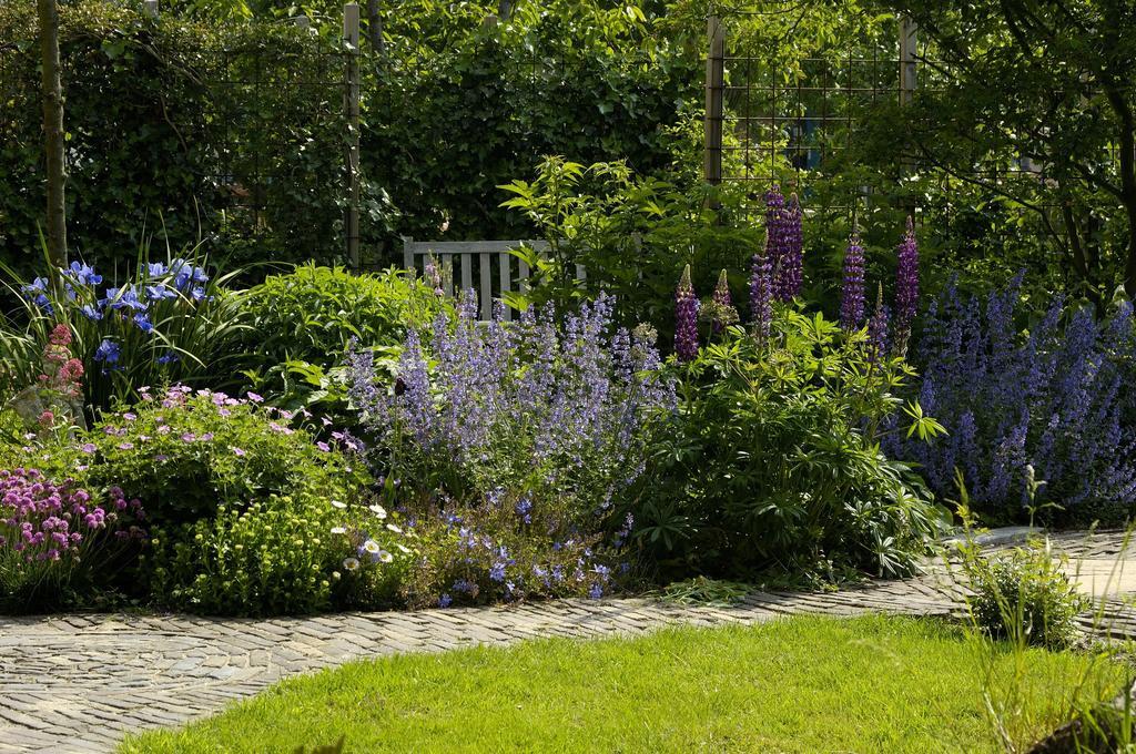 Bed and Breakfast De Zonnehoed Lisse Exterior foto
